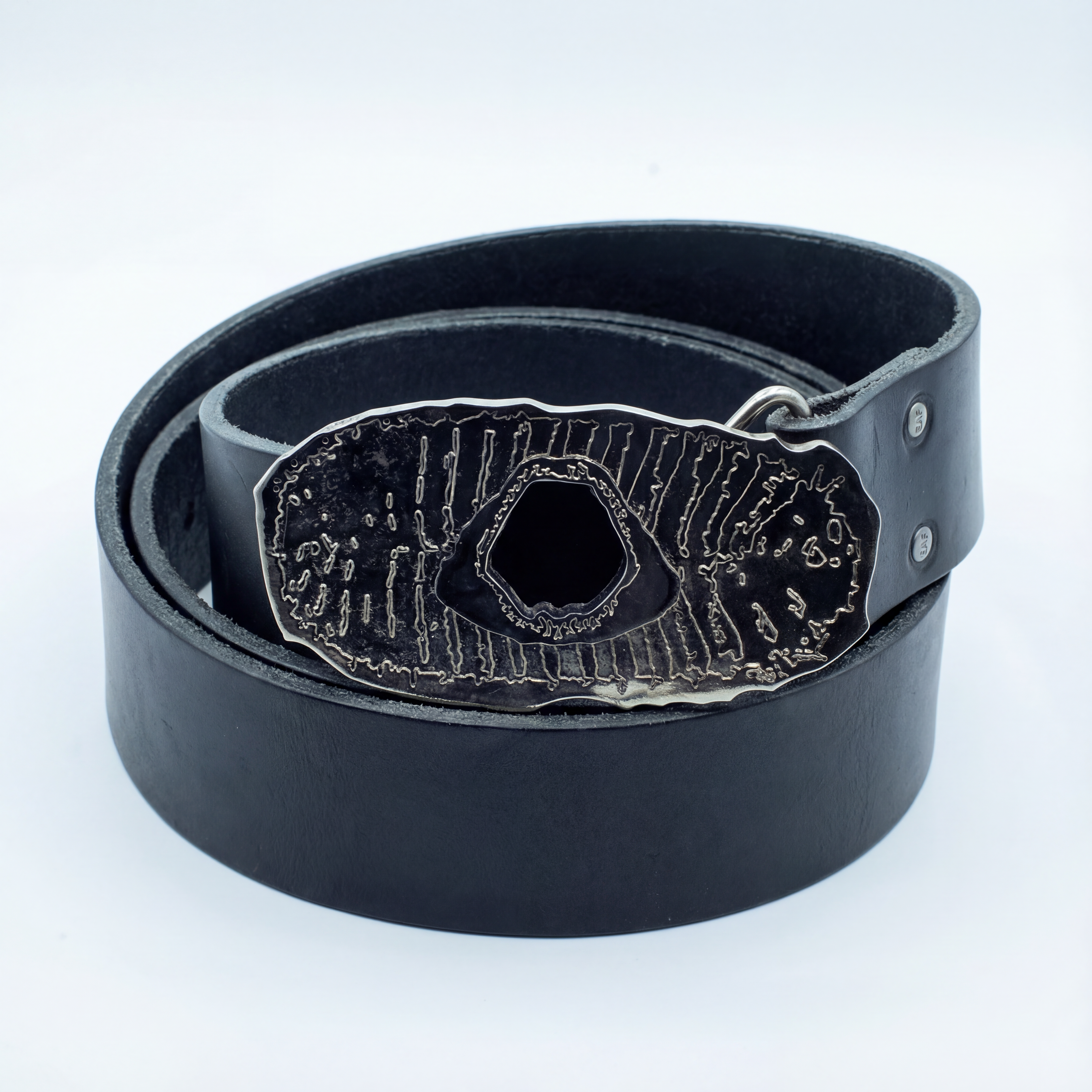 REMORA BELT whole product image